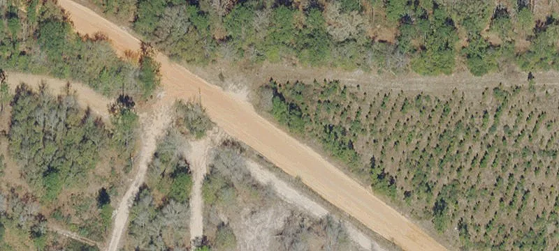 Hunting Land with Year-Round Creek