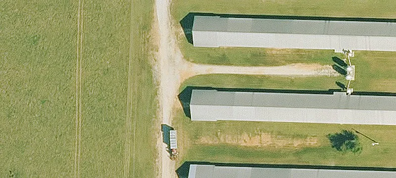 Turnkey Poultry Farm