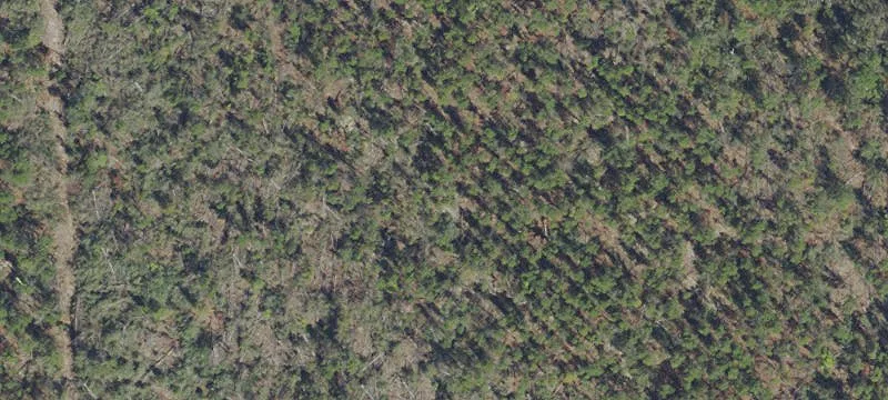 Agricultural Land with Creek Front