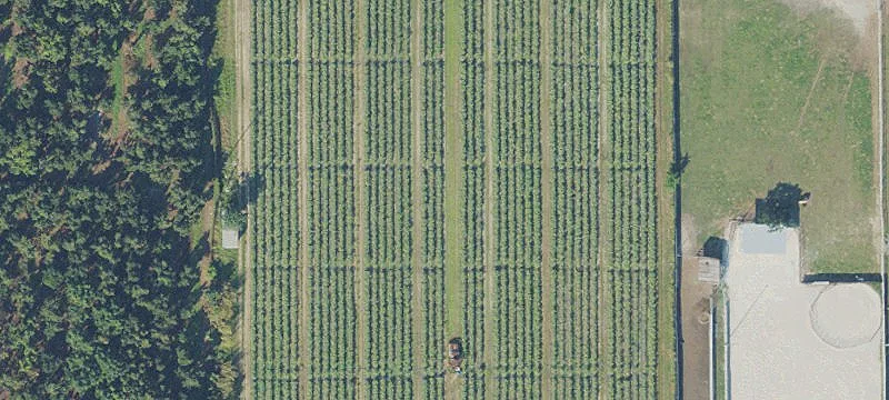 Prime Farmland Lease Property