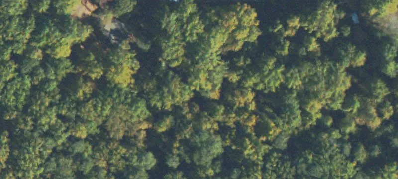 Residential Lot with Mature Trees