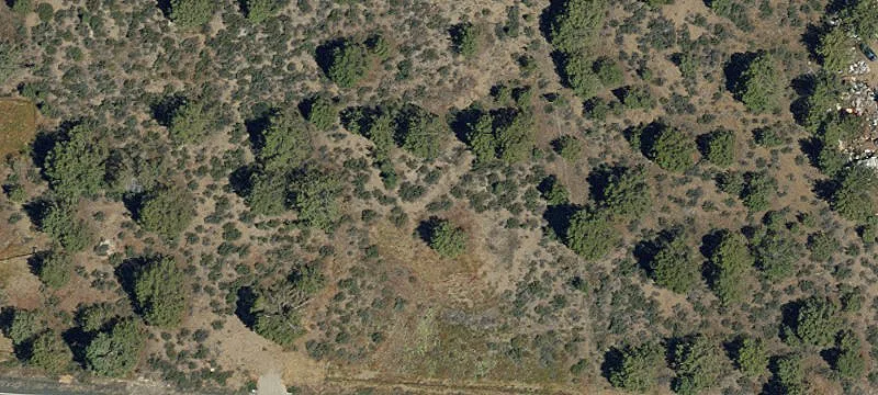 Waterfront Hunting Land Overlooking River