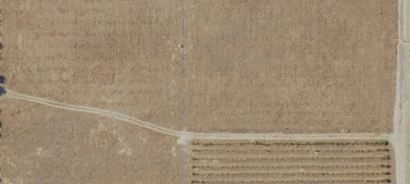 Mandarin Ranch with Producing Orchard