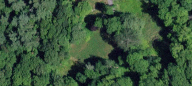 Wooded Land with Building Site
