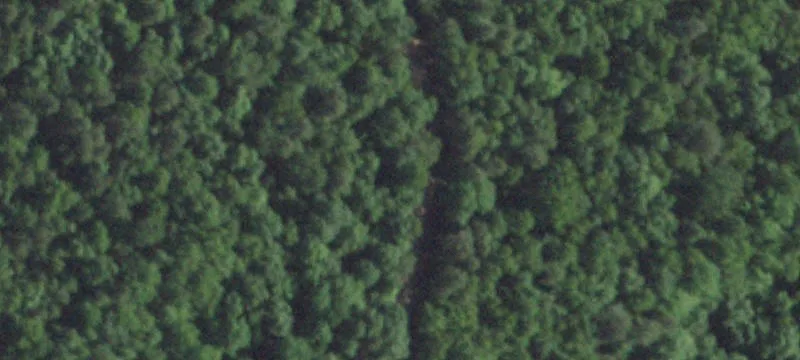Mature Hardwood Hunting Land