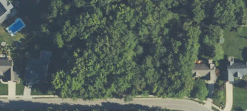 Wooded Residential Home Lot