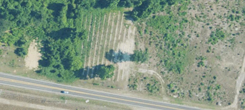 Developable Outparcel Land Site