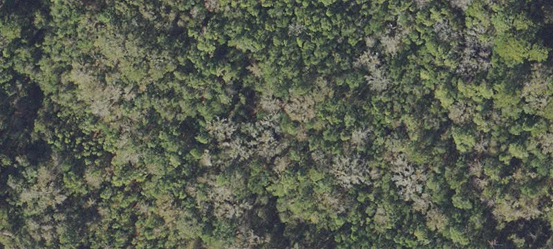Corner Industrial Land Tract