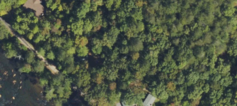 Wooded Residential Development Lot