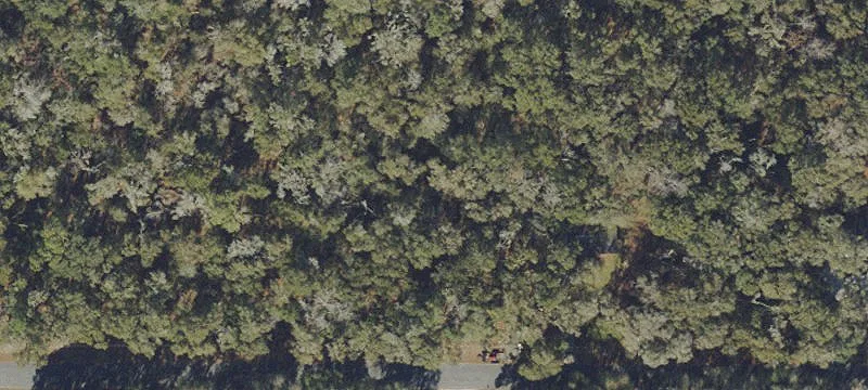 Buildable Residential Lot
