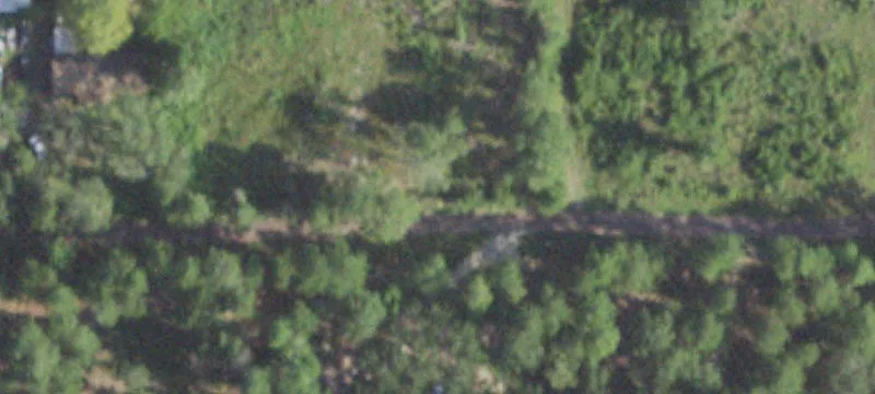 Wooded Homesite Land