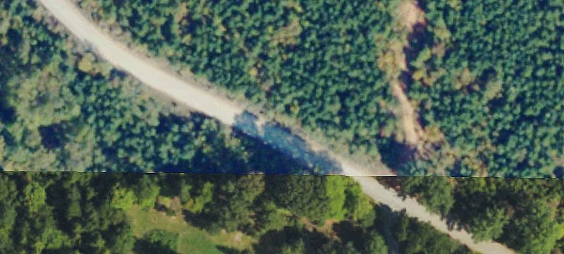 Recreational Hunting Land with Timber