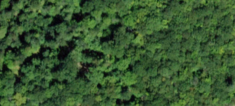 Wooded Hunting and Recreation Land