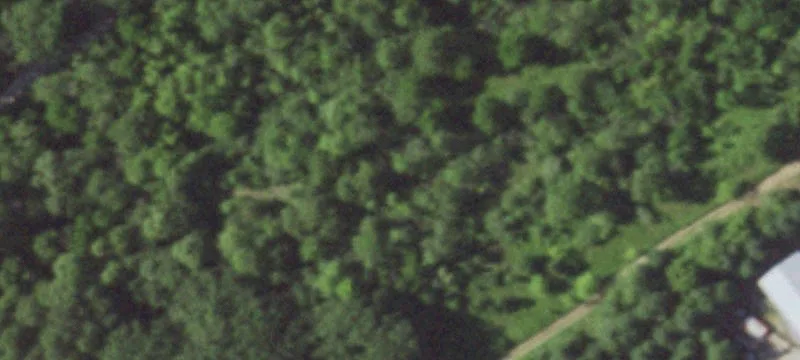 Wooded Residential Development Land