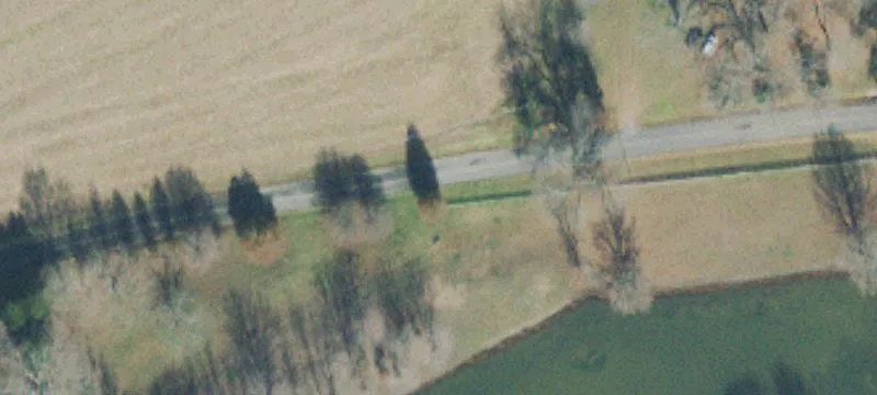 Agricultural Land with Home Site