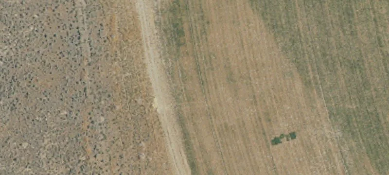Working Ranch with Pivot Irrigation