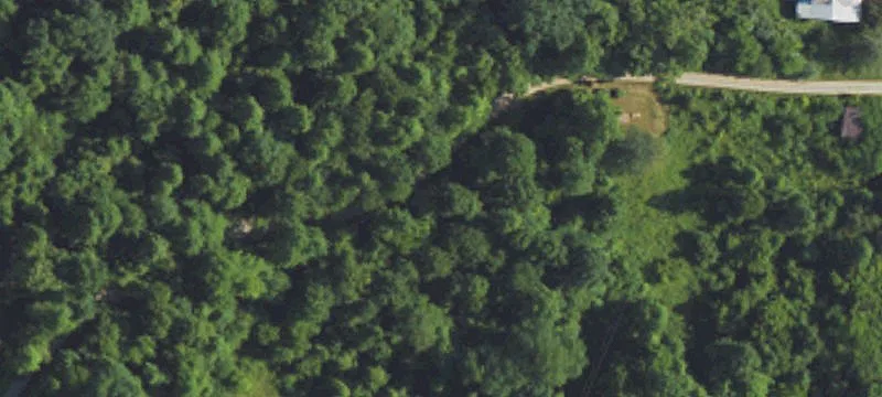 Mostly Wooded Recreational Land