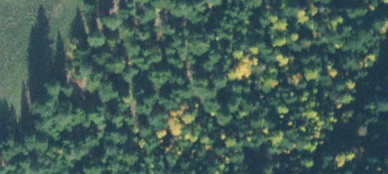 Residential Land Parcel with Utilities