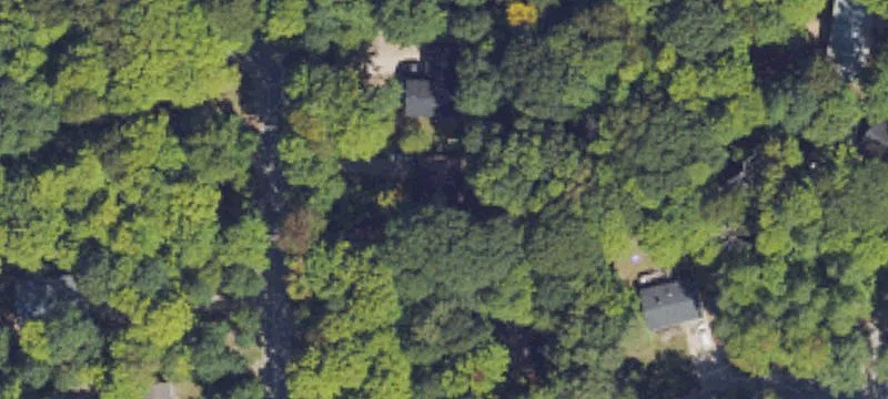 Wooded Corner Home Site