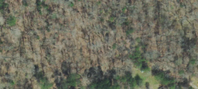 Wooded Acreage with Creek Border