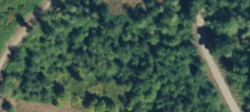Forested Rural Land Parcel