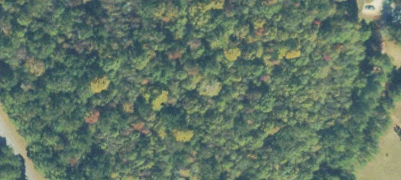 Wooded Residential Development Land