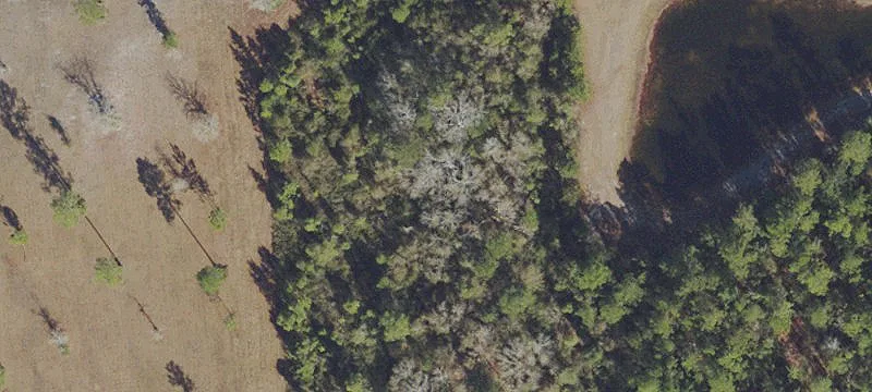 Gated Community Residential Land Lot