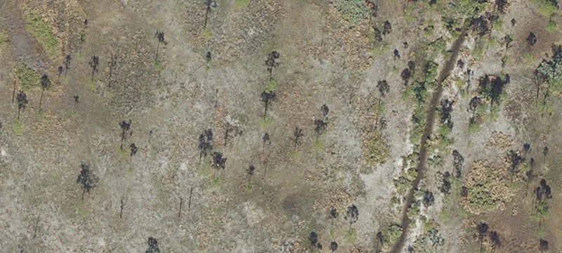 Dog Boarding and Training Facility