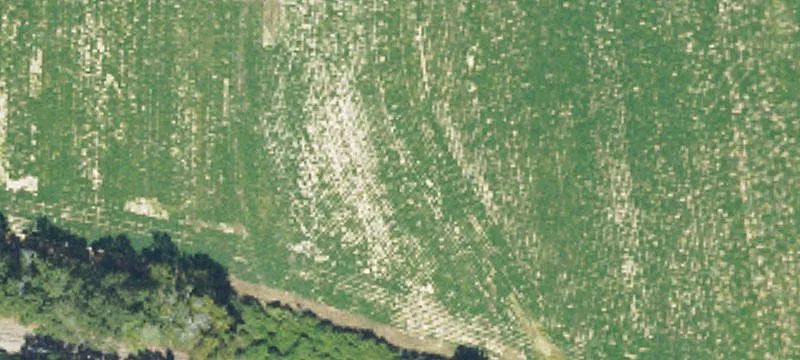 Rural Homesite Land Tract