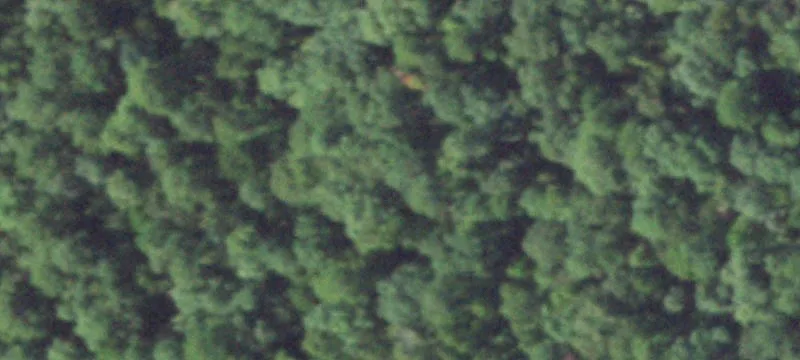 Lakefront Timber Land Tract