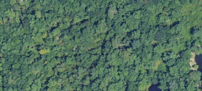 5.8± Acre Residential Land Parcel