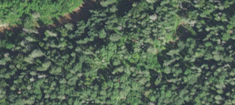 Low-Maintenance Specialty Land Parcel