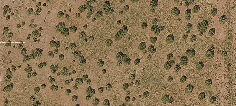 Secluded Residential Land Parcel