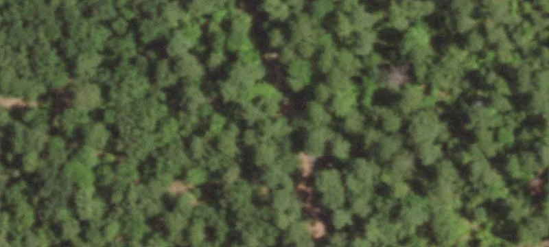 Recreational Hunting Land
