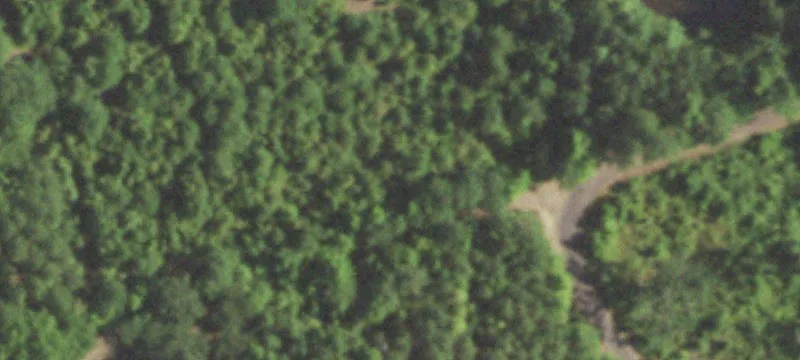Specialty Property Off County Road