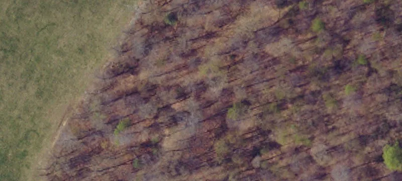 Large Country Land Auction Tract