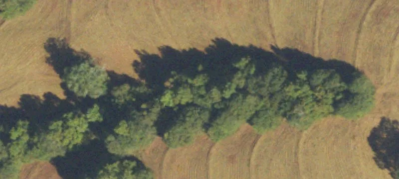 Lakefront Farm and Barn Property