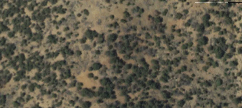 Rural Residential Acreage with Gated Access