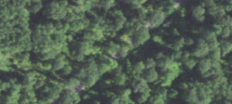 Wooded Lake-Access Building Lot