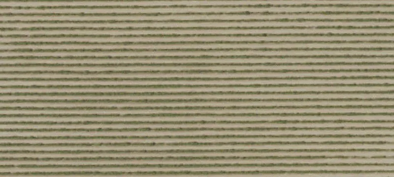 Drip-Irrigated Vineyard Property