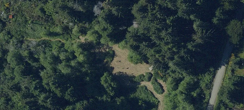 Farm and Forest Property with Shop