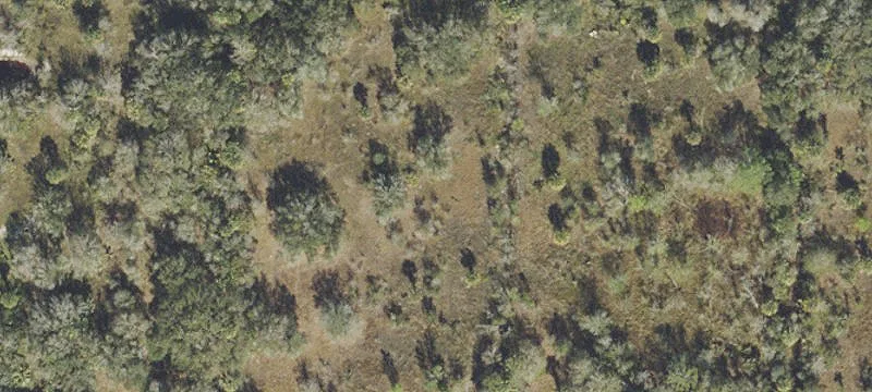 Agricultural Land With Manufactured Homes