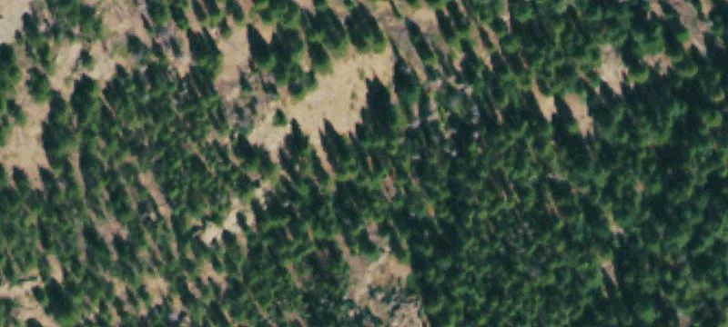 Historic Mountain Cabin Parcel