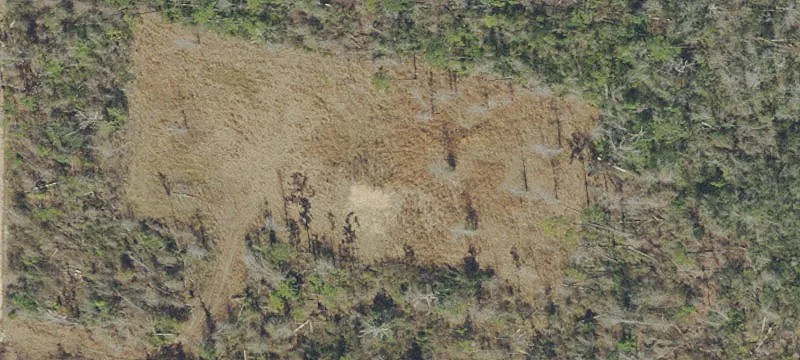 Wooded Acreage with Cleared Homesite