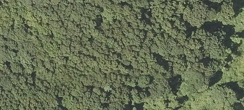 17-Acre Development Land Site