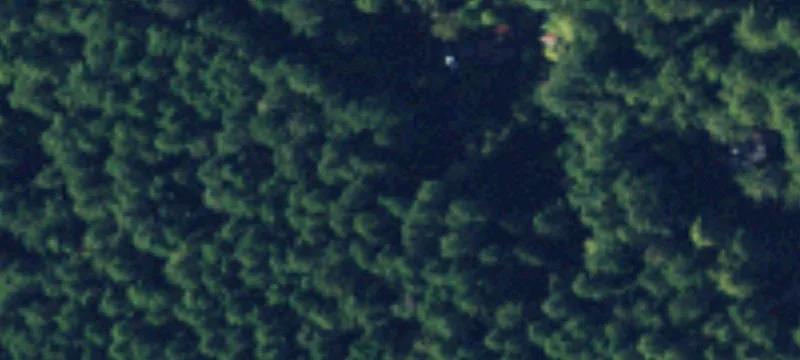 Wooded Residential Land Parcel