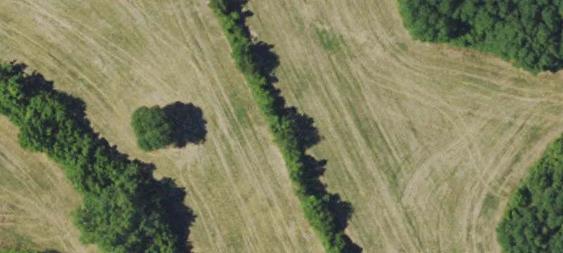 Crop Land with Tobacco Barn