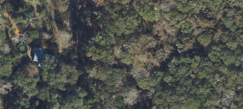 Wooded Residential Land Parcel