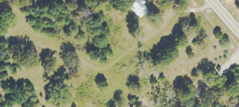 Recreational Land Tract with Timber