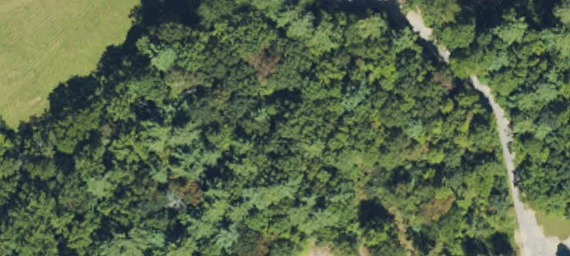 Agricultural Land Parcel with Creek Access